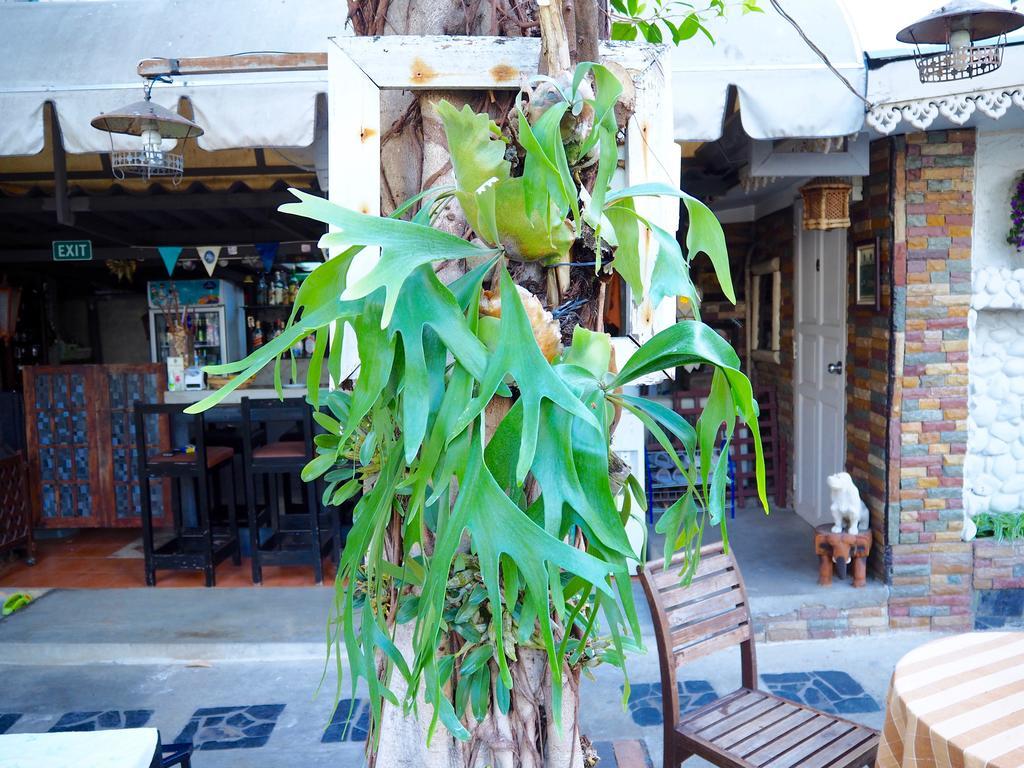 Stay With Me Guest House Τσιάνγκ Μάι Εξωτερικό φωτογραφία